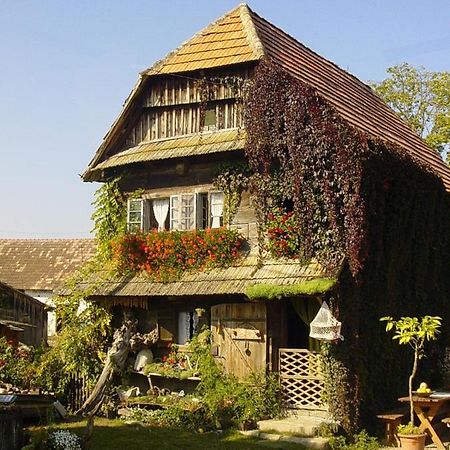 Penzion Rural Tourism Family Ravlic Muzilovcica Exteriér fotografie