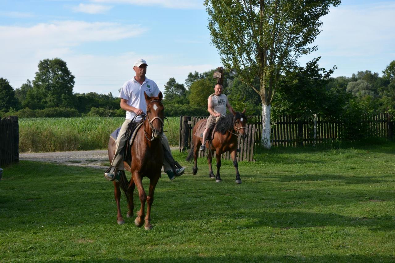 Penzion Rural Tourism Family Ravlic Muzilovcica Exteriér fotografie