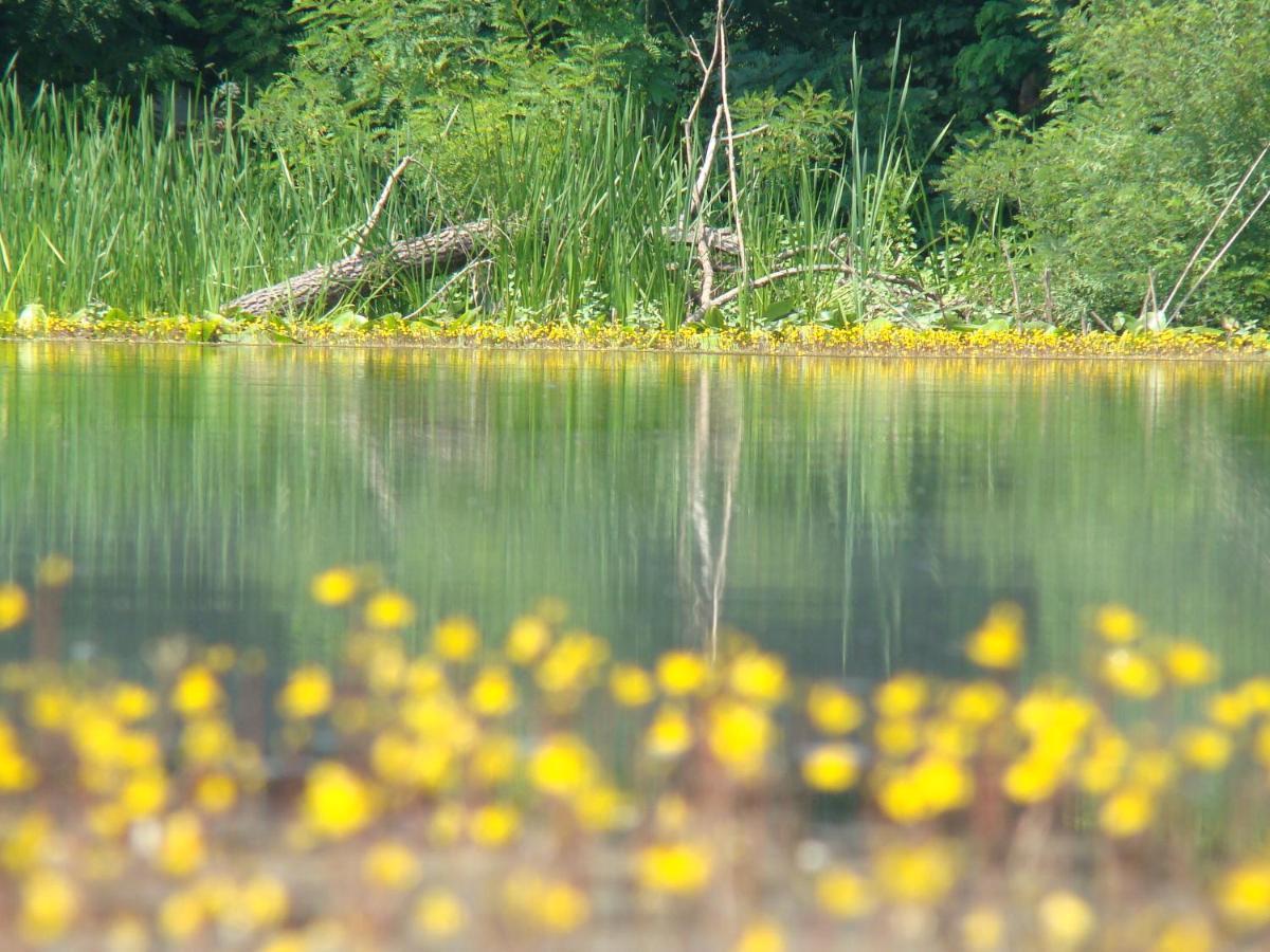 Penzion Rural Tourism Family Ravlic Muzilovcica Exteriér fotografie