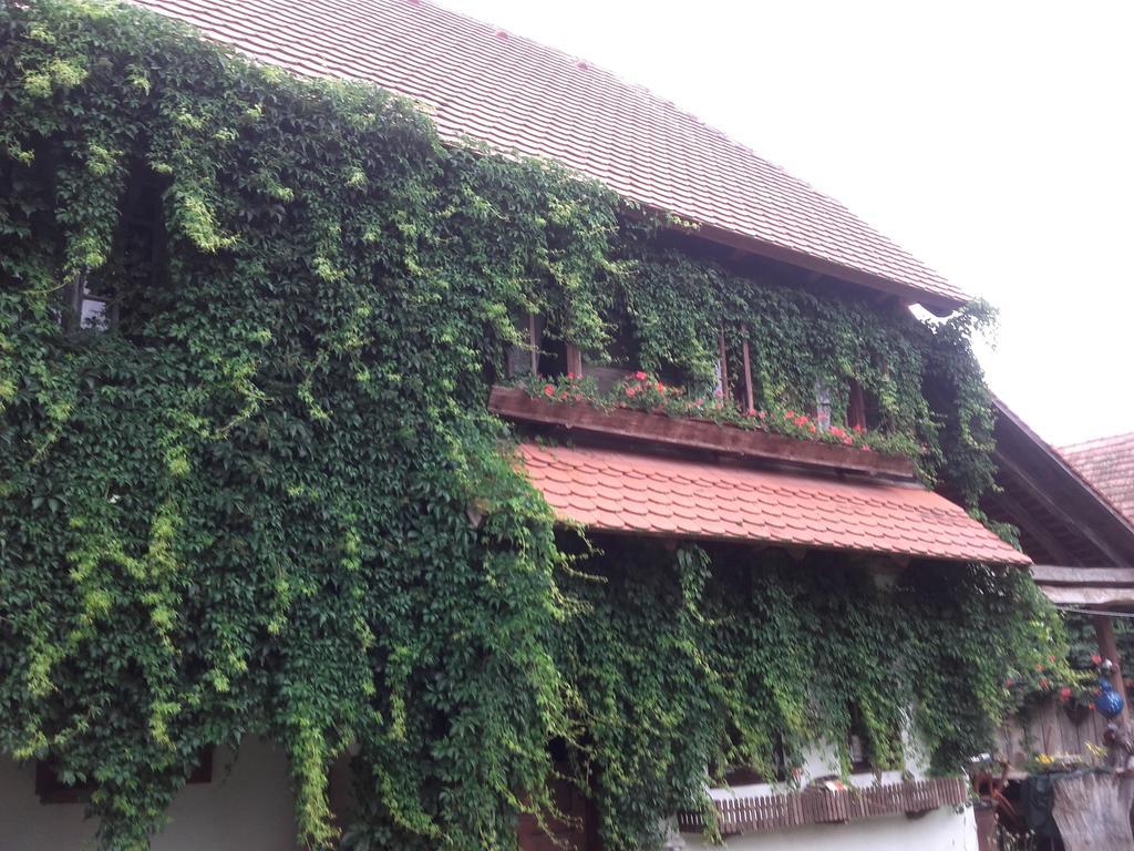 Penzion Rural Tourism Family Ravlic Muzilovcica Exteriér fotografie