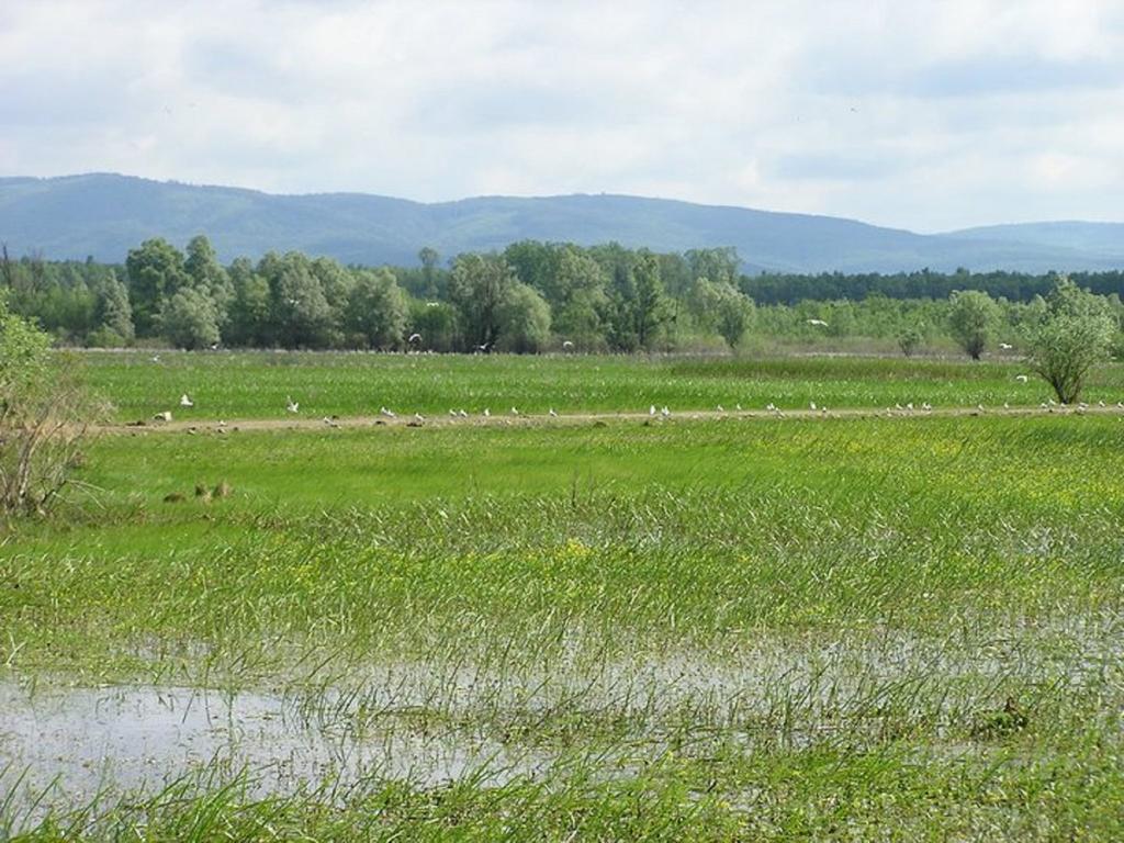 Penzion Rural Tourism Family Ravlic Muzilovcica Exteriér fotografie