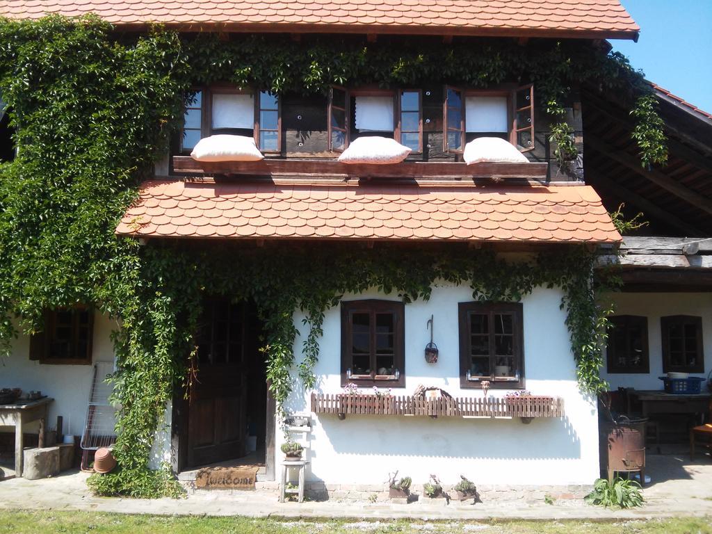 Penzion Rural Tourism Family Ravlic Muzilovcica Exteriér fotografie